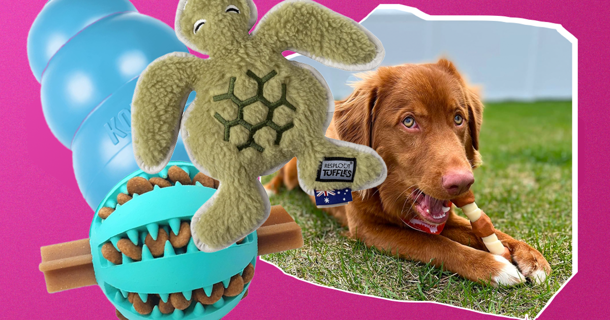 Best dog toys 2024 for tugging chewing and fetch The Independent